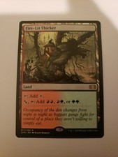 1x MTG - Fire-Lit Thicket-  Double Masters-  Regular Rare #317 NM x1