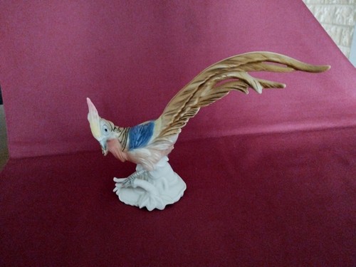 Grand faisan porcelaine - grand, en