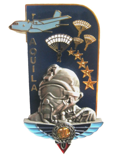 Insigne des commandos - des,