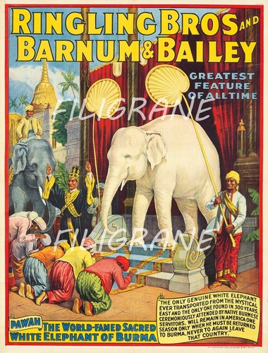 Ringling bros barnum rjkb - rjkb,