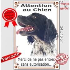 Epagneul Breton noir, plaque