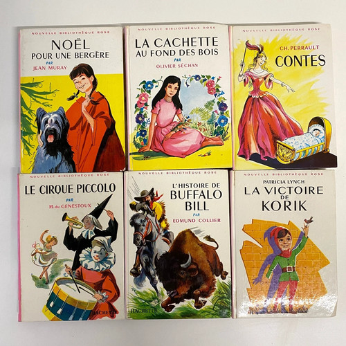 Lot livres bibliothèque - 6,
