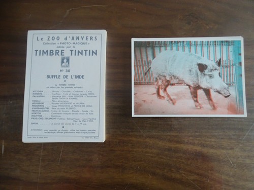 Rare plv timbre tintin - plv,