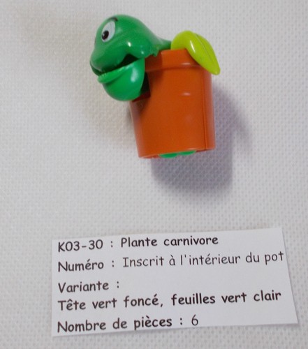 Kinder plante carnivore - carnivore,