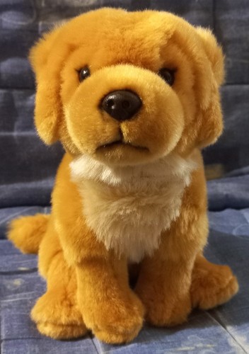 Peluche chien golden - chien,