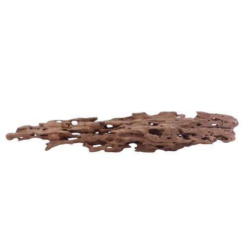 Aquaone racine mangrove - aquaone, xl