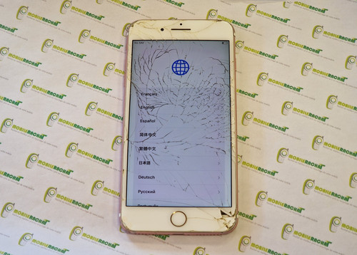 Apple iphone plus - apple, rose