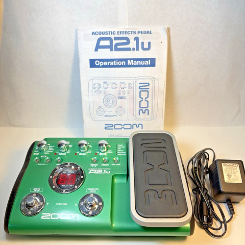 Zoom acoustic guitar - zoom,