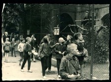 Zoo Frankfurt Main 1963 -