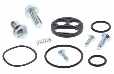 Kawasaki zzr1100 kit - kawasaki,