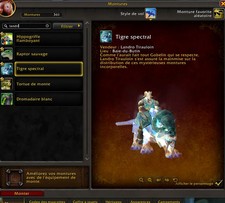 Compte WoW Tigre spectral et