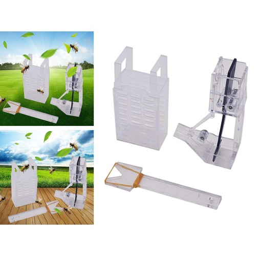 Queen bee cages apiculture - 3x,