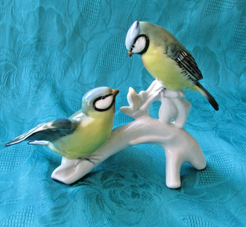Couple mésange oiseaux en - couple,