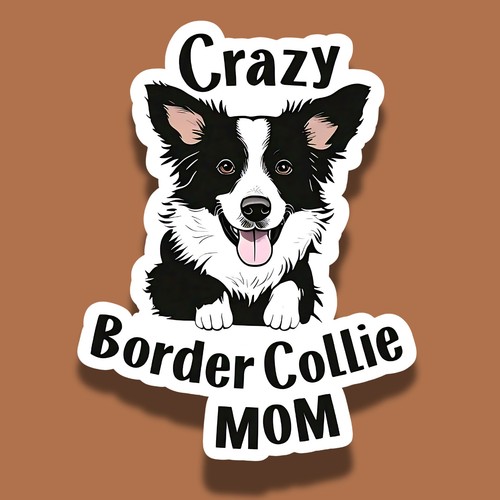 Crazy border collie - collie, mom