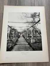 certosa di pavia - the pergola . large 1905 large  print .