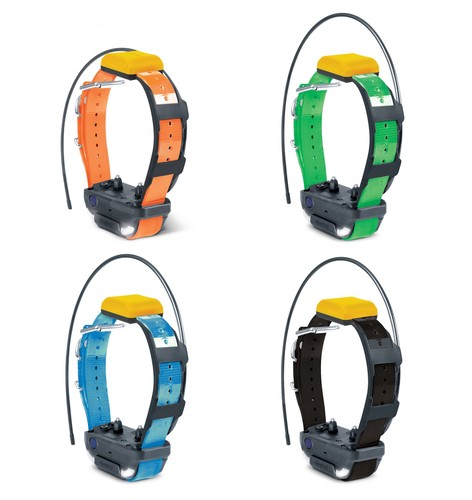 Collier suppl dressage - collier, suppl.