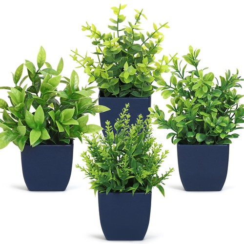 Lot petites plantes - petites,