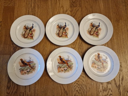 Lot assiettes décor - 6, paon