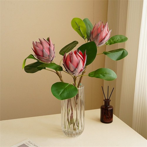 Beau bricolage protea - beau,