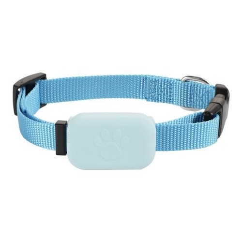 Collier gps pour chien - collier, ou