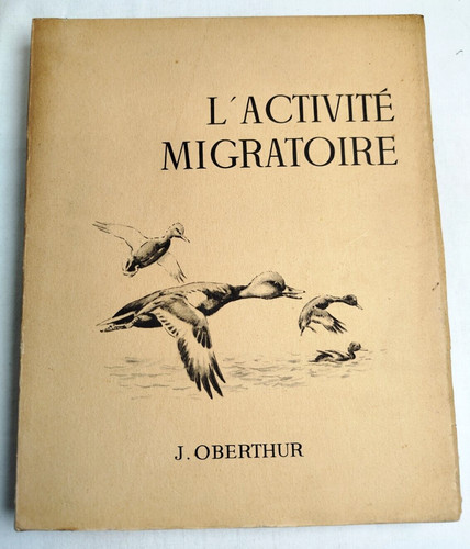 Oberthur l activite - oberthur, l'activite