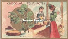 Chromo Chocolate FELIX POTIN - Plants: HAZELNUT