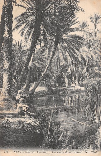 Tunisie nefta etang dans - tunisie, l