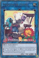 Yu-Gi-Oh! Mouton de Croix : R