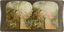 Paris, Man in the Greenhouse of the Zoological Garden, ca.1890, watercolor stereo Tirag