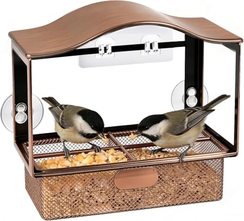 Mangeoire oiseaux - mangeoire, à