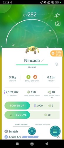 Nincada shiny registred or - shiny,