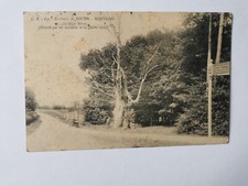 CPA 76 surroundings of ROUEN - MONTIGNY - Le Gros Beech