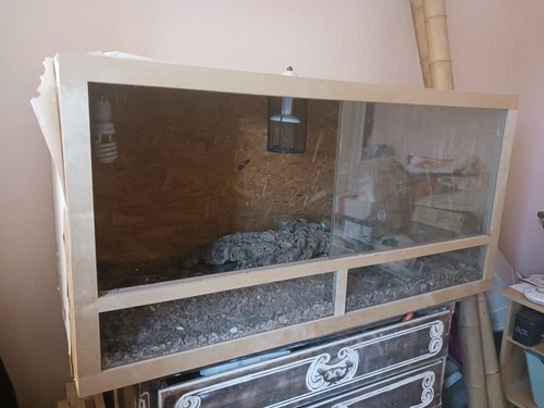 Terrarium vivarium en - en, bois