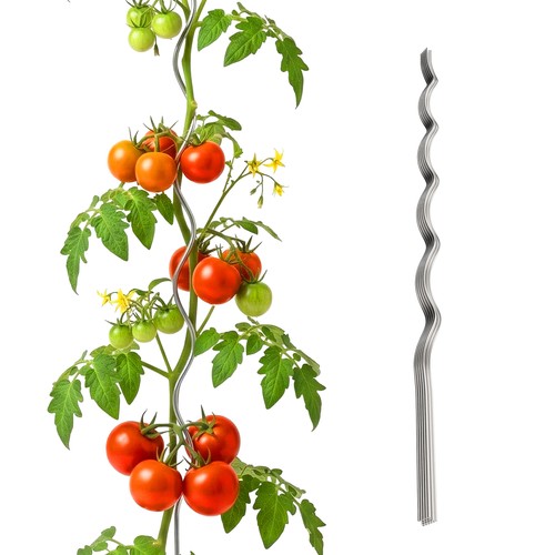 Tuteurs spirale pour - , tomates