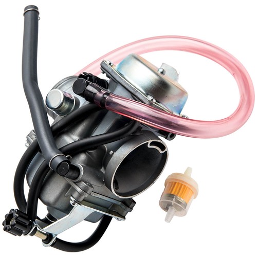 Carburetor fuel filter kit - fuel,