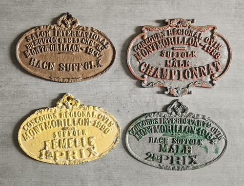 Plaques concours ovins race