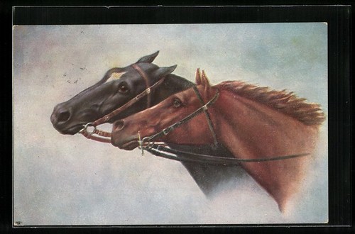 Deux chevaux cornequin et - deux,