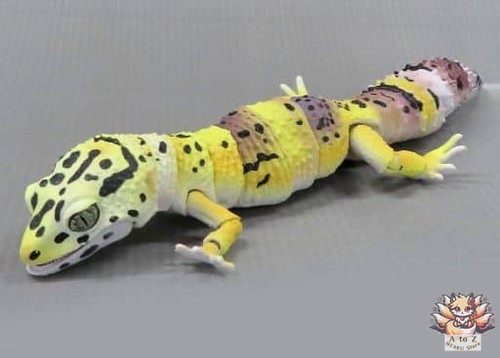 Mini figurine avancée leopard - figurine,