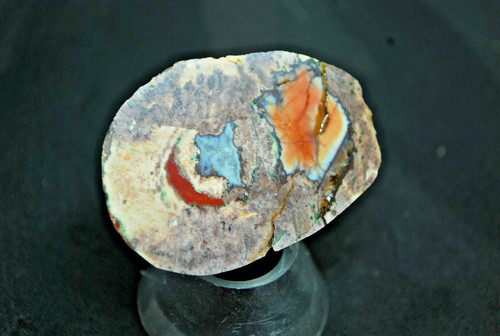 Agates fréjus - (, )