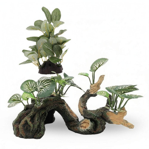 Terrarium artificiel - terrarium, en