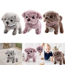 Simulation Électrique En