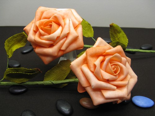 Roses avec raquettes - avec, tige