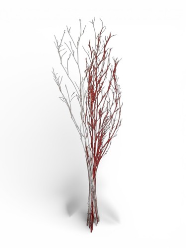 Branche décorative