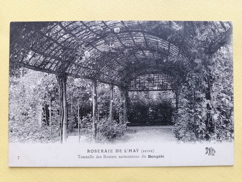 Old postcard roseraie in - old, la