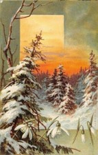 fancy card - CHRISTMAS DECOR - TREES UNDER THE SNOW