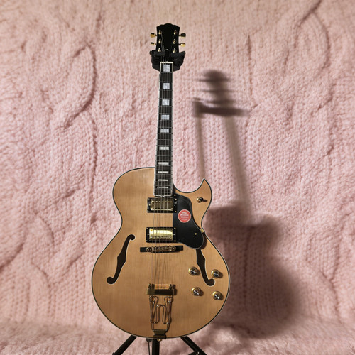 Semi hollow body - hollow,