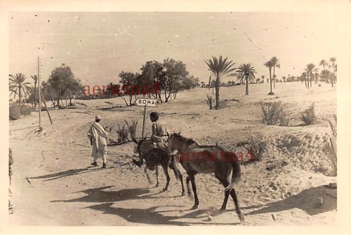 Arabe avec mule - , sur