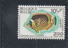 L7032 BELGIQUE TIMBRE N° Y&T 1473 de 1968 " Zoo d'Anvers Chaetodon  " NEUF**