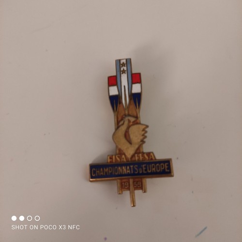Official participant pin - official,