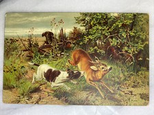 Antique Art Painting Stengel Postcard Sure Prey Guido Maffel Hunting Scene Dogs